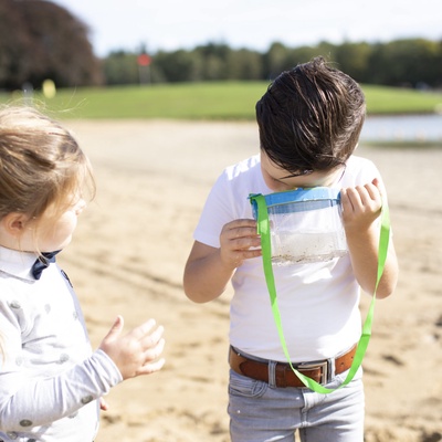 Caja de Estudio de Insectos L